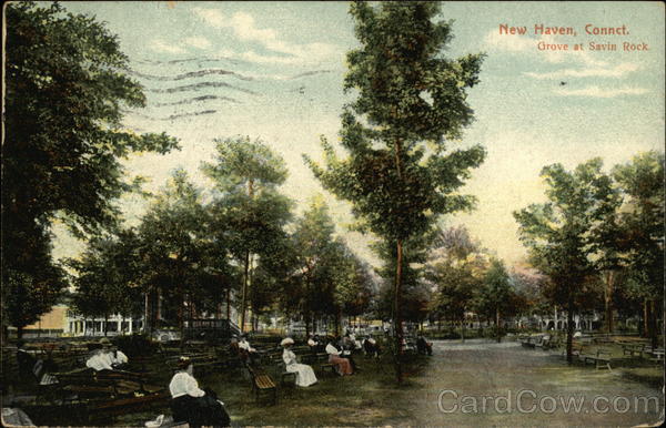 Grove at Savin Rock New Haven Connecticut