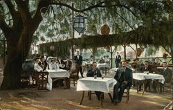 Casa Verdugo Restaurant - Diners under the Pepper Tree Glendale, CA Postcard Postcard