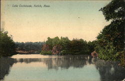 Lake Cochituate Postcard