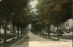 Chestnut Street Postcard