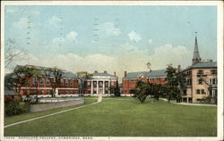 Radcliffe College and Grounds Postcard