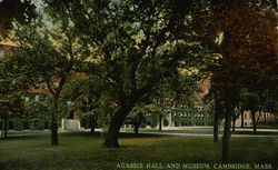 Agassiz Hall and Museum Cambridge, MA Postcard Postcard