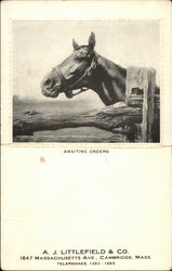 Awaiting Orders. A. J. Littlefield & Co Postcard