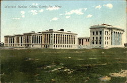 Harvard Medical School Postcard