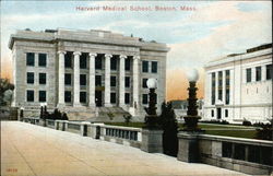 Harvard Medical School Postcard