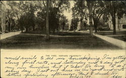 The Yard, Harvard University Postcard