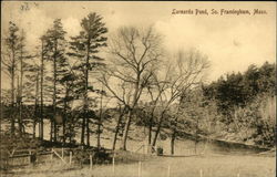 Larnards Pond Framingham, MA Postcard Postcard