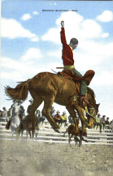 Bronco Busting - Rodeo Rodeos