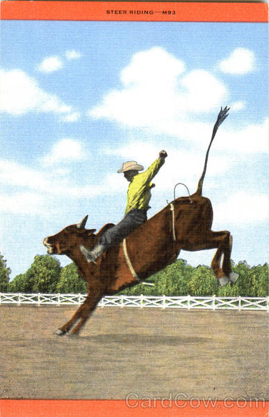Steer Riding - Rodeo Rodeos