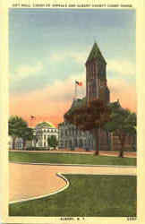 City Hall Court Of Appeals And Albany County Court House New York Postcard Postcard