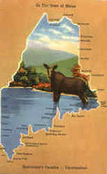 In The State Of Maine Postcard