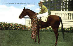 Citation Winner Of The Kentucky Derby 1948 Postcard