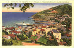 Avalon And Bay Postcard