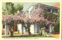 The Wisteria Pergola Hotel The Oasis Postcard