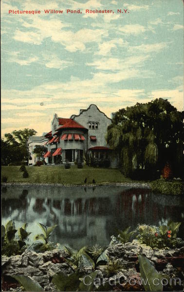 Picturesque Willow Pond Rochester New York