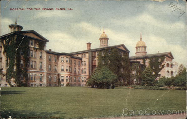 Hospital for the Insane Elgin Illinois