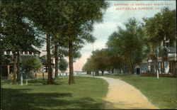 Driveway in Woodland Beach Park Postcard