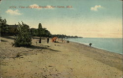View along the Beaches Port Huron, MI Postcard Postcard