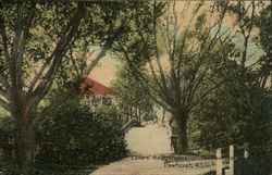 Lover's Walk, Rhodes-on-the-Pawtuxet Postcard