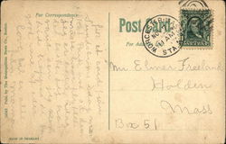 back