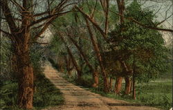 Driveway in East Rock Park Postcard