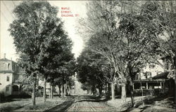 Maple Street Orleans, VT Postcard Postcard