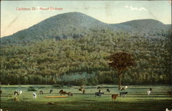 Mount Birdseye Postcard