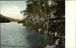 Bayview Park, Lake Memphremagog Postcard