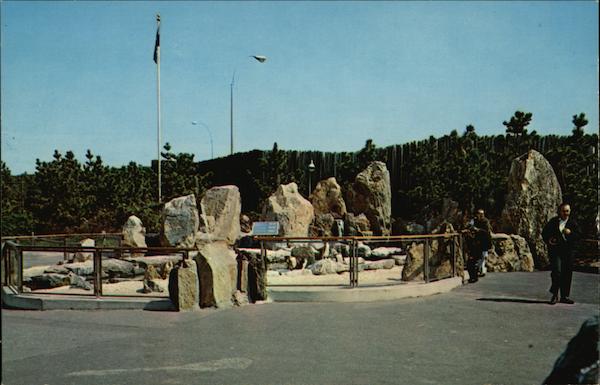 Penguin Exhibit at the New York Aquarium