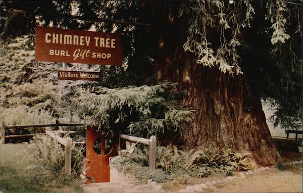 Chimney Tree Redwood Highway California