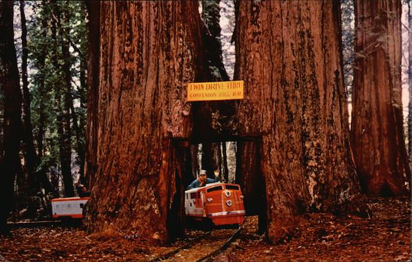 Twin Drive-Thru Tree Redwood Highway, CA