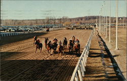 Lincoln Downs Horseracing Postcard