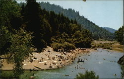 Odd Fellows Park - Odd Fellows Beach Guerneville, CA Mike Roberts Postcard Postcard