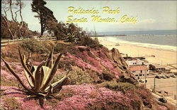 Palisades Park Santa Monica, CA Postcard Postcard