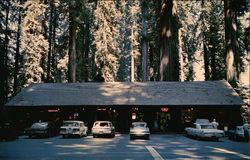 Richardson Grove State Park Richardson Grove State Park