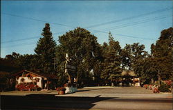 The Oaks Motel Cloverdale, CA Postcard Postcard