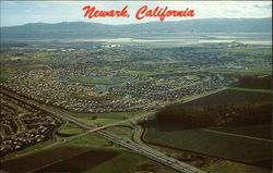 Stock #417869 Thumbnail