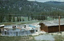 Swimming Pool Near Marleeville, Calif Postcard