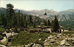 Annual Jeepers Jamboree Georgetown, CA Postcard Postcard