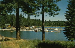 Lake Almanor, Calif California Postcard Postcard