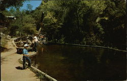 California Hot-Springs Resort Postcard