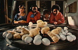 Stock #417964 Thumbnail