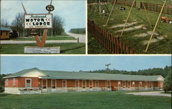 Redwood Motor Lodge Curtis, MI Postcard Postcard