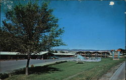 Black Canyon Motel Postcard