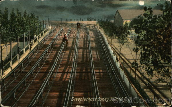 Steeplechase Coney Island New York