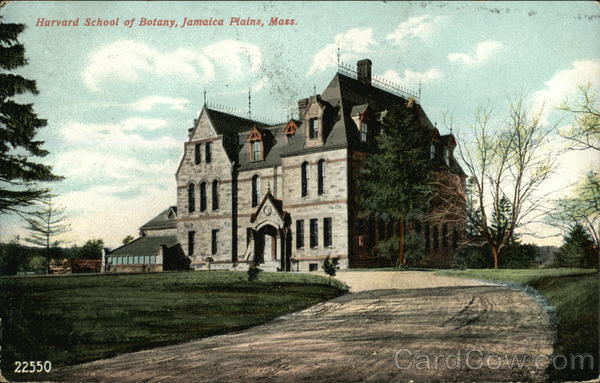 Harvard School of Botany Jamaica Plain Massachusetts