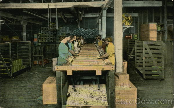 Section of Packing Room - Inland Empire Biscuit Co Spokane Washington