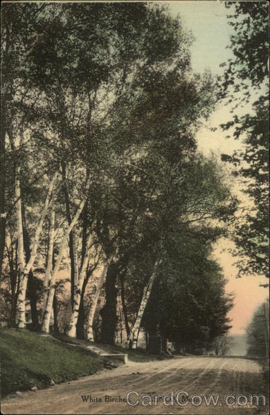 White Birches Lenox Massachusetts