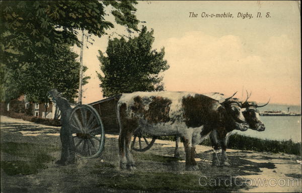 The Ox-o-mobile Digby NS Canada Nova Scotia