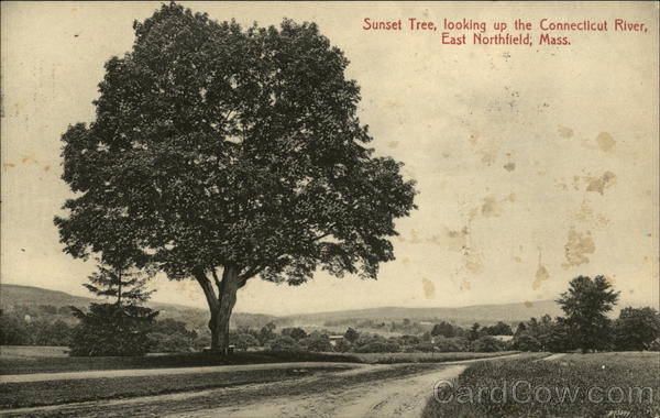 Sunset Tree, looking up the Connecticut River East Northfield Massachusetts